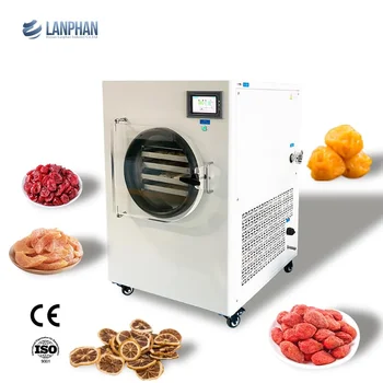 Industrial And Home Food Freeze Dryer Freeze Drying Machine Mini Freeze Dryer