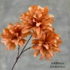 3-headed purple orchid
