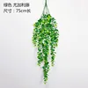 Green (5-forked eucalyptus vine)