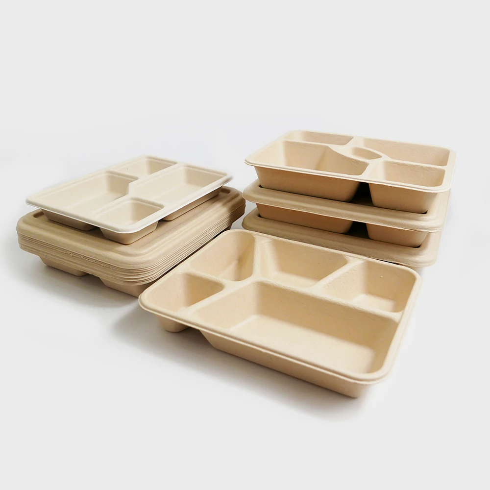 Biodegradable Tableware to Go Box 5 6 Compartments Sugarcane