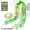 [One cream-colored] 42-headed small rose vine