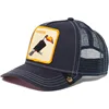 Dark blue big bird
