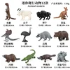 DT Mini Reptiles coloridos (juego de 12 piezas)