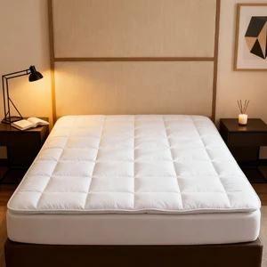 Enhanced Comfort Polyester/Cotton Blend 3D Thick Mattress with 170gsm Quilted Folding Design