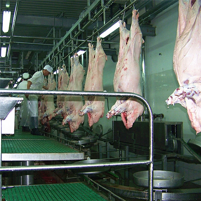 Complete pig slaughterhouse equipment for pork slaughterhouse meat processing and meat production