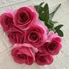 Rosa rossa