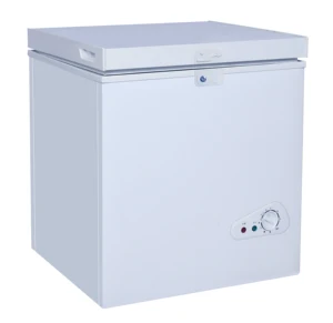 Customized Anti-Yellowing Customized Color ETL Wide Temperature Range Cheap Sub zero Chest Freezer