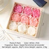 Bianco + Rosa - Peonia