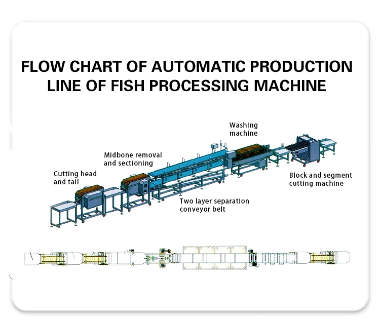TCA High Quality Automatic  Fish Cleaning Descaling Fillet Processing Line Making Machine for Catfish Fish Red Snapper Tuna Fish