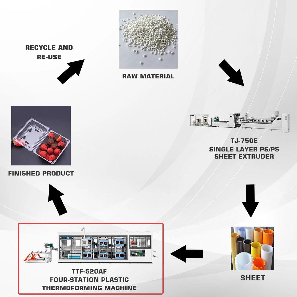 Plastic Thermoforming Disposable Polystyrene Ps Plate Food Container Cup Lid Making Machine Price
