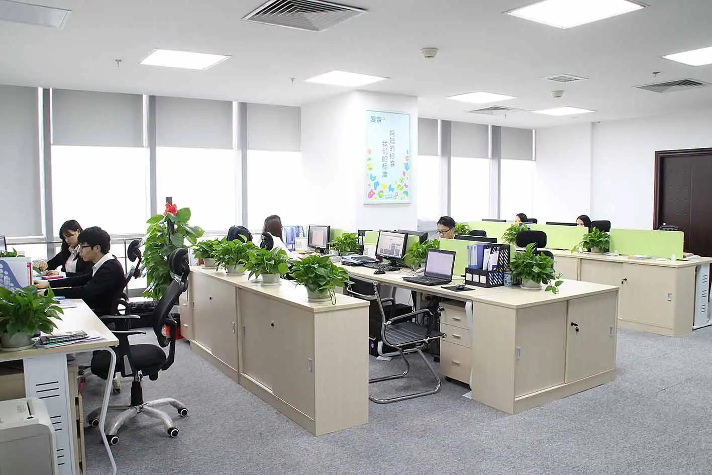 Hebei Anzuo Trading Co., Ltd.