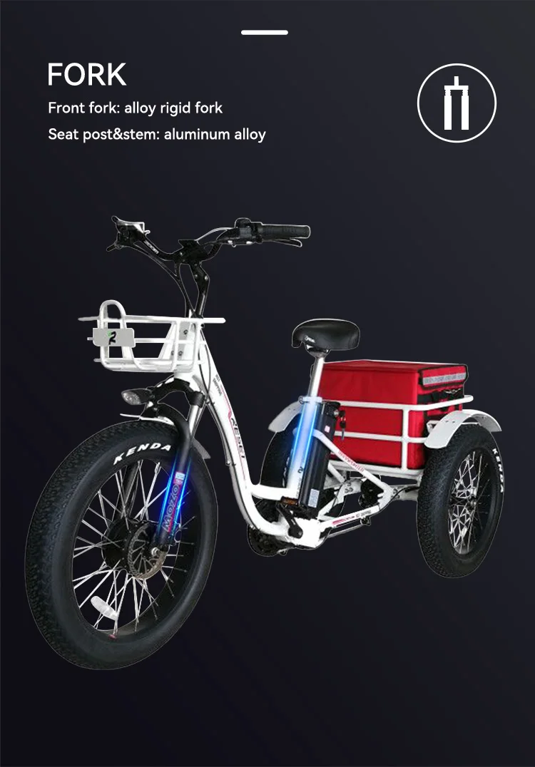 3 Wheel E-bike Fat Tire Ebike Tricycle Three-wheel Battery E Bike Three ...