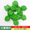 ราคา 20 ชิ้นต่อขนาดใหญ่