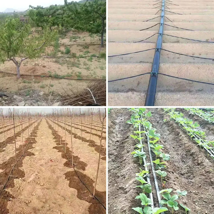 1 Hectare Agricultural Drip Line Kit Fertilizer Injector Drip System System for Half Hectares Hose Belt Equipment 6 ha for Corn H03cba4ad45ab41fb9d316f7df6e57581C