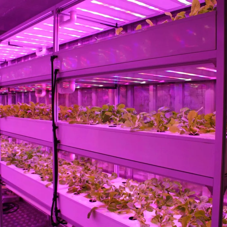 Shipping Container For Smart Future Farm Plant Buy Container Plant