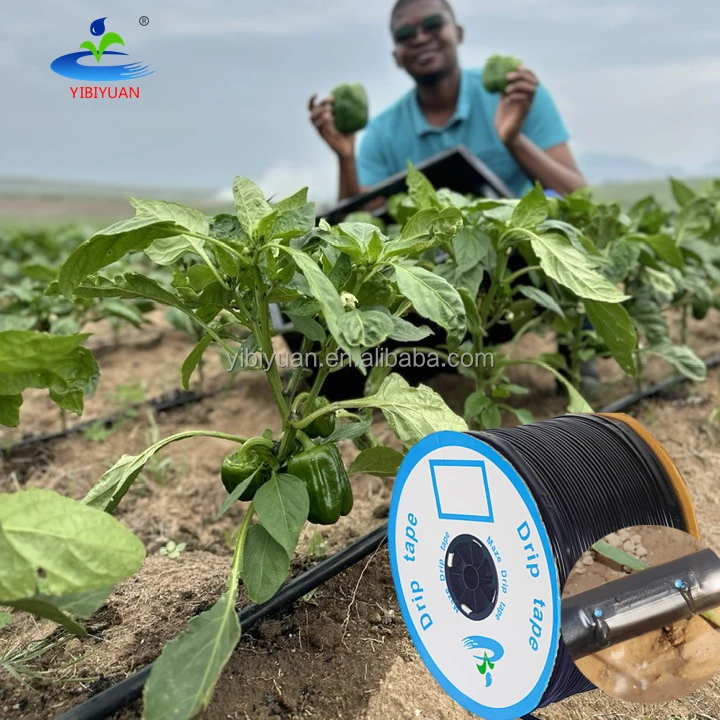 Tomato Farm Agricultural Kitwatering Drip Pipe Irrigation System 30cm 16mm Drip Line Irrigation