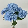 Bleu foncé