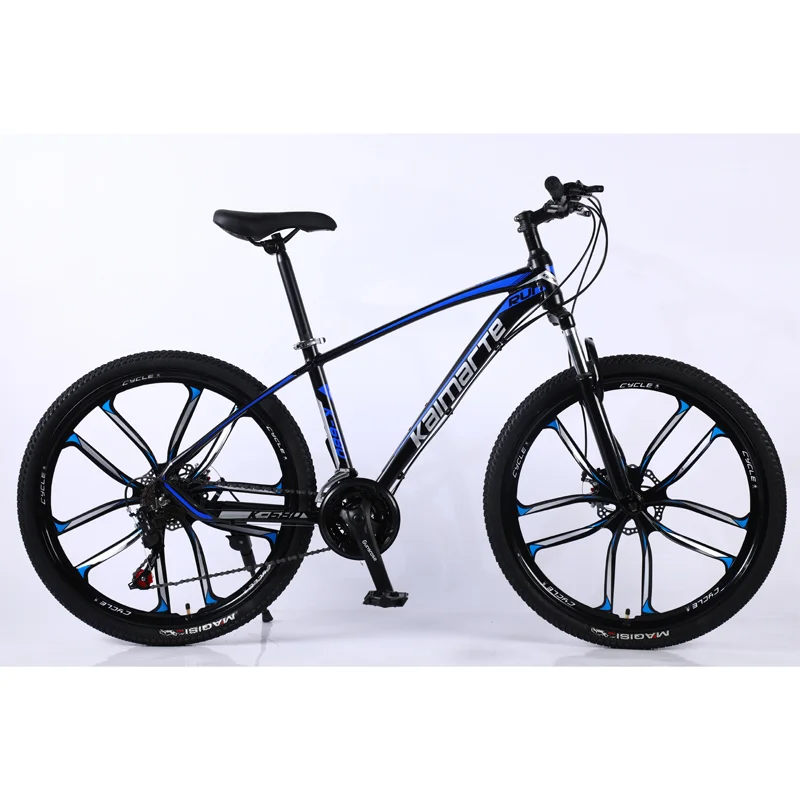 Affordable Gear Bicycle for Adult Men Disc Brakes 21 Speed