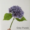 Grey Purple