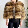 9 Light Raccoon