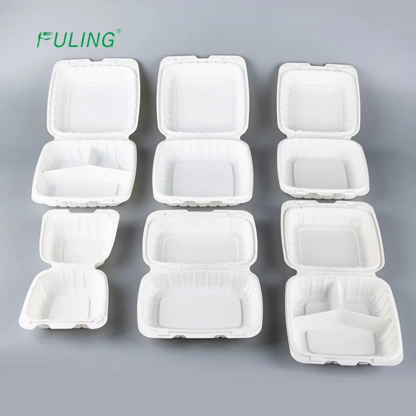 Ecopax PP225 Sandwich White Plastic Hinged Containers 250 / Case