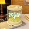 19 Blue Jelly Petals+Cake Box