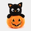Gatto zucca nera