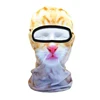 Yellow Cat