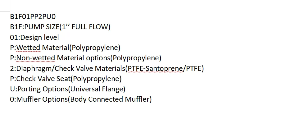 B1F01PP2PU0 OEM 1''  pump  details