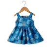 Blue Firework Print