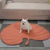 Pink leaf pad