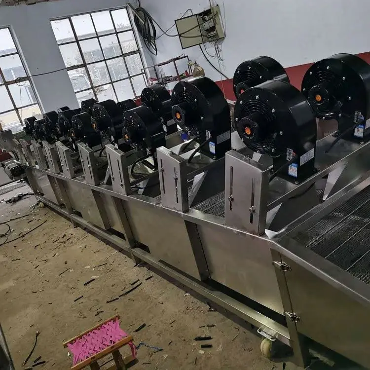 Ginger Surface Water Removing Drying Machine Turmeric air Blower Dryer Fruit and Vegetable Drying Machine