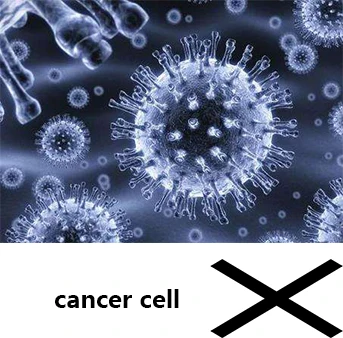 Профессиональный поставщик сушеных овощей