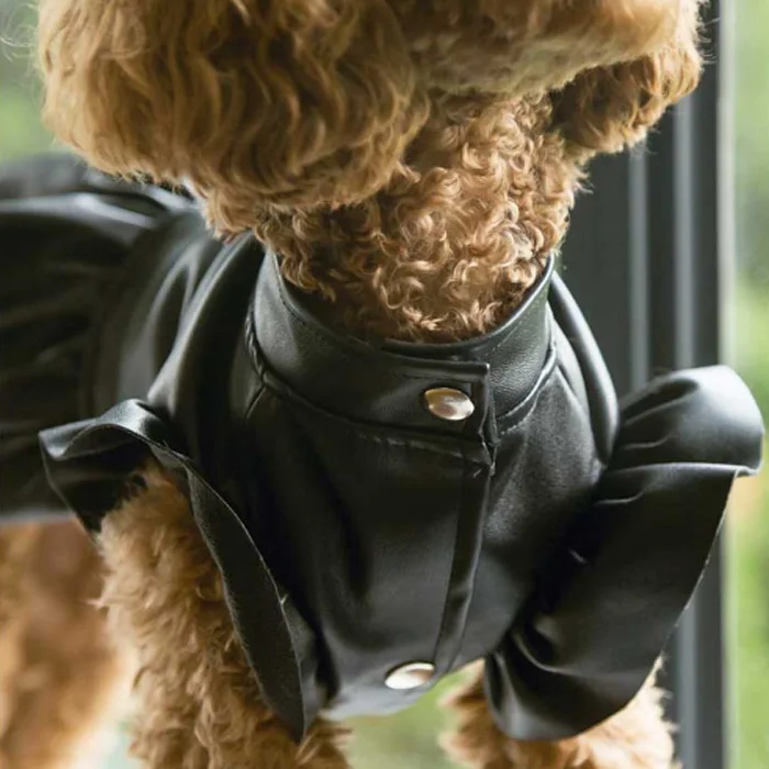Fashion Spice Girl Biker Leather Pet Suit Dress Jacket Windbreaker Dog Clothing Coat