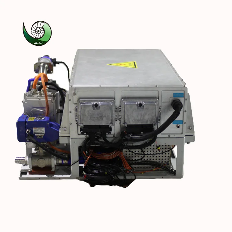 Hydrogen Fuel Cell PEM Off Grid H2 Backup Power Hydrogen Electricity Generator 5KW 20KW 50KW 100KW