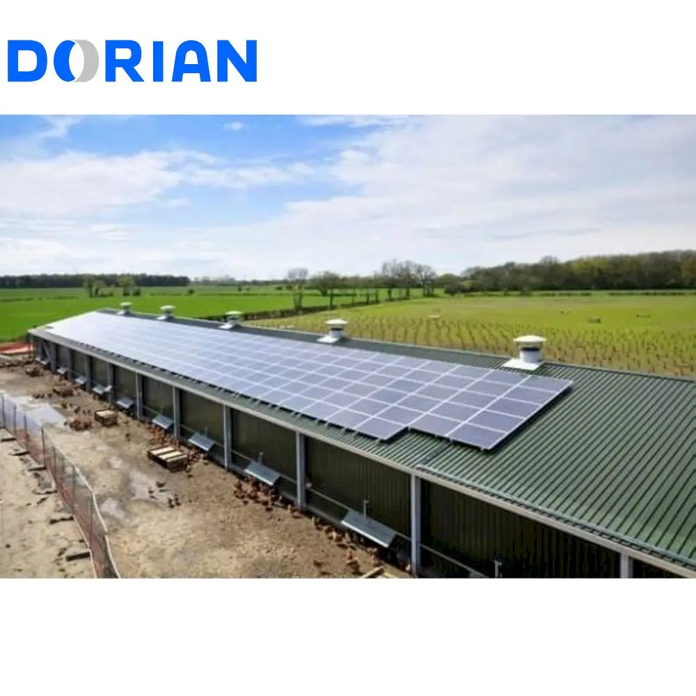 New Design Small Prefab Steel Structure Egg Chicken Poultry Farm Building for 5000 Chicken