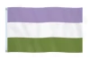 Gender Queer Pride flag
