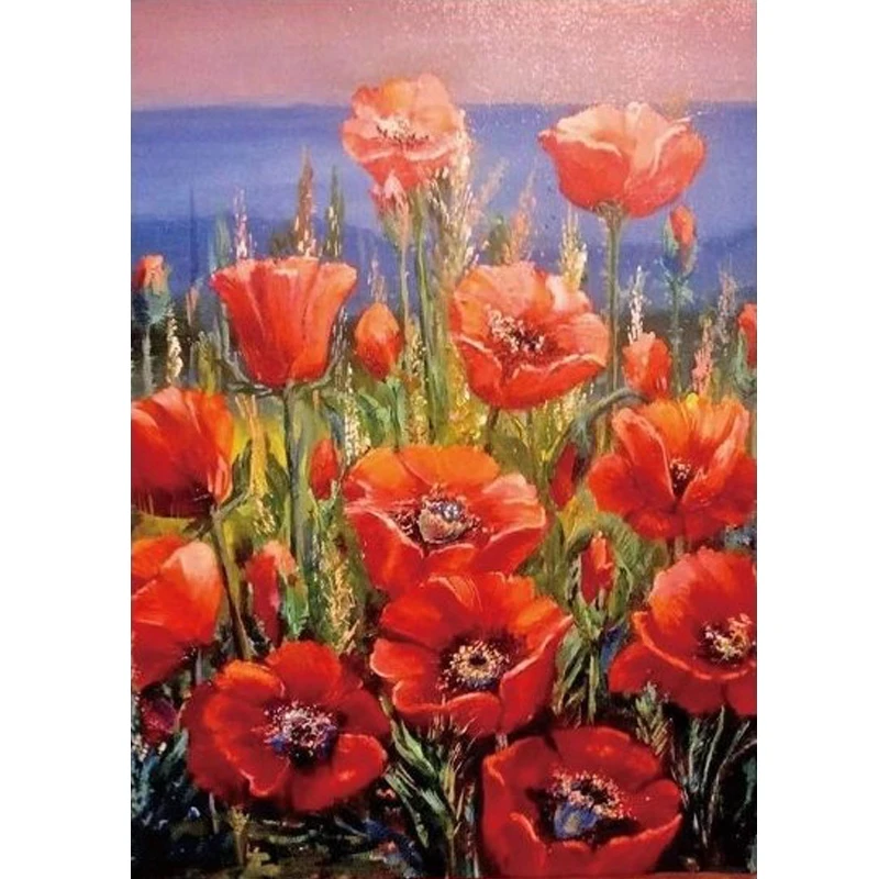 QQYRHN Poppy Diamond Painting Kits for Adults Beginners 5D Colourful