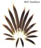10-15cm/4-6in