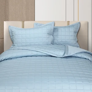Tencel Lyocell Box Stitch Quilt Set Luxury Bedding Quilted Plaid Quilts and Pillowcase