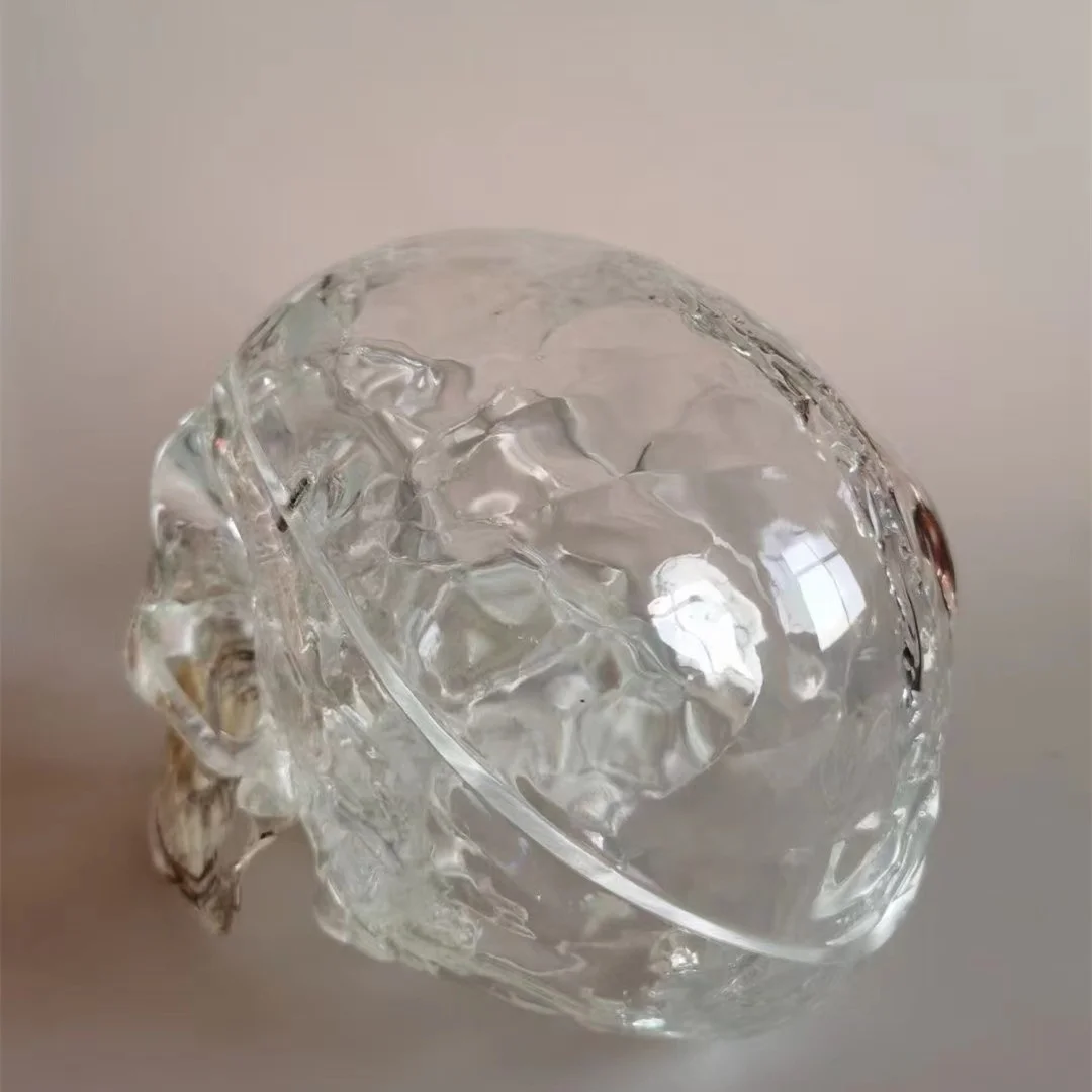 Life Size Teaching PVC Human Transparent Skull with Neurovascular Anatomical Model