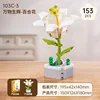 Lily