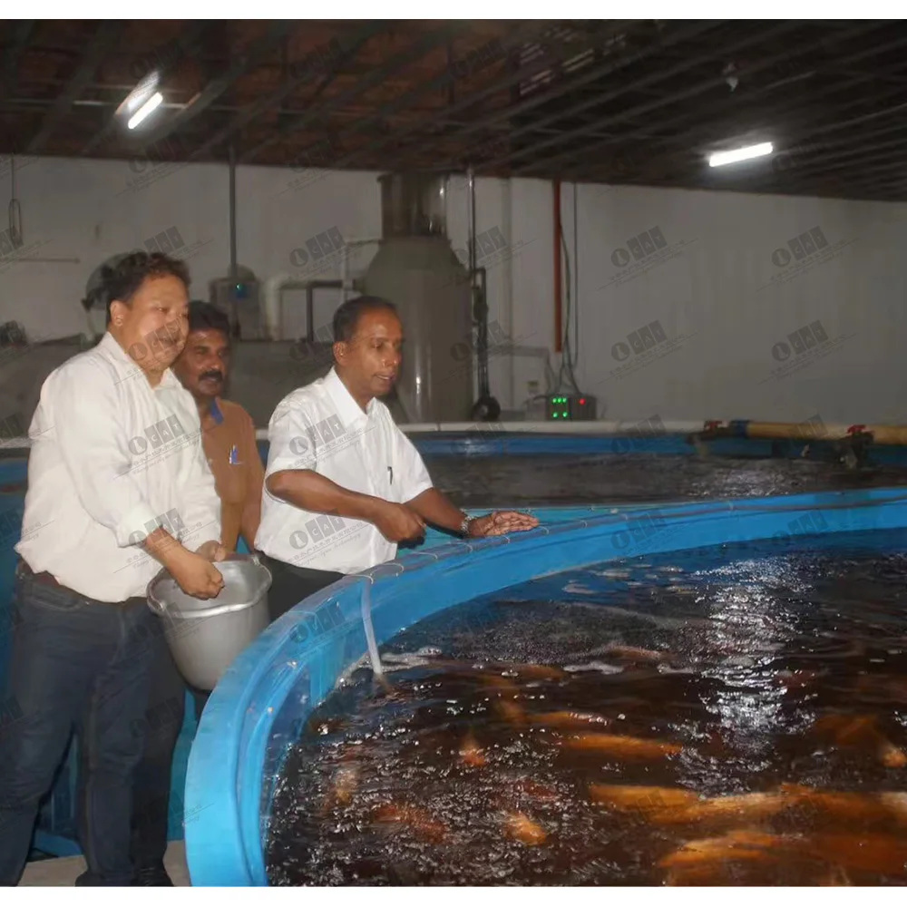 Малазийский проект Tilapia Ras оборудование для рыбоводства система