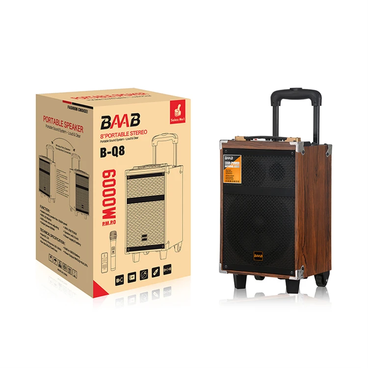 BAAB-Q8 8 Inch Mini Portable Karaoke Subwoofer Wireless Trolley Speaker with Powerful Bass and Microphone Trolley TWS  BOX AUDIO