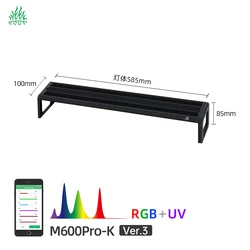 H040c0b9c090548c2a19d7ea1307c1