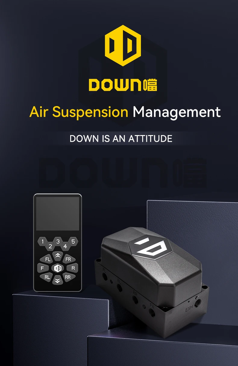 Down Air Ride Suspension Kit For Car Voice Control 3h Air Management