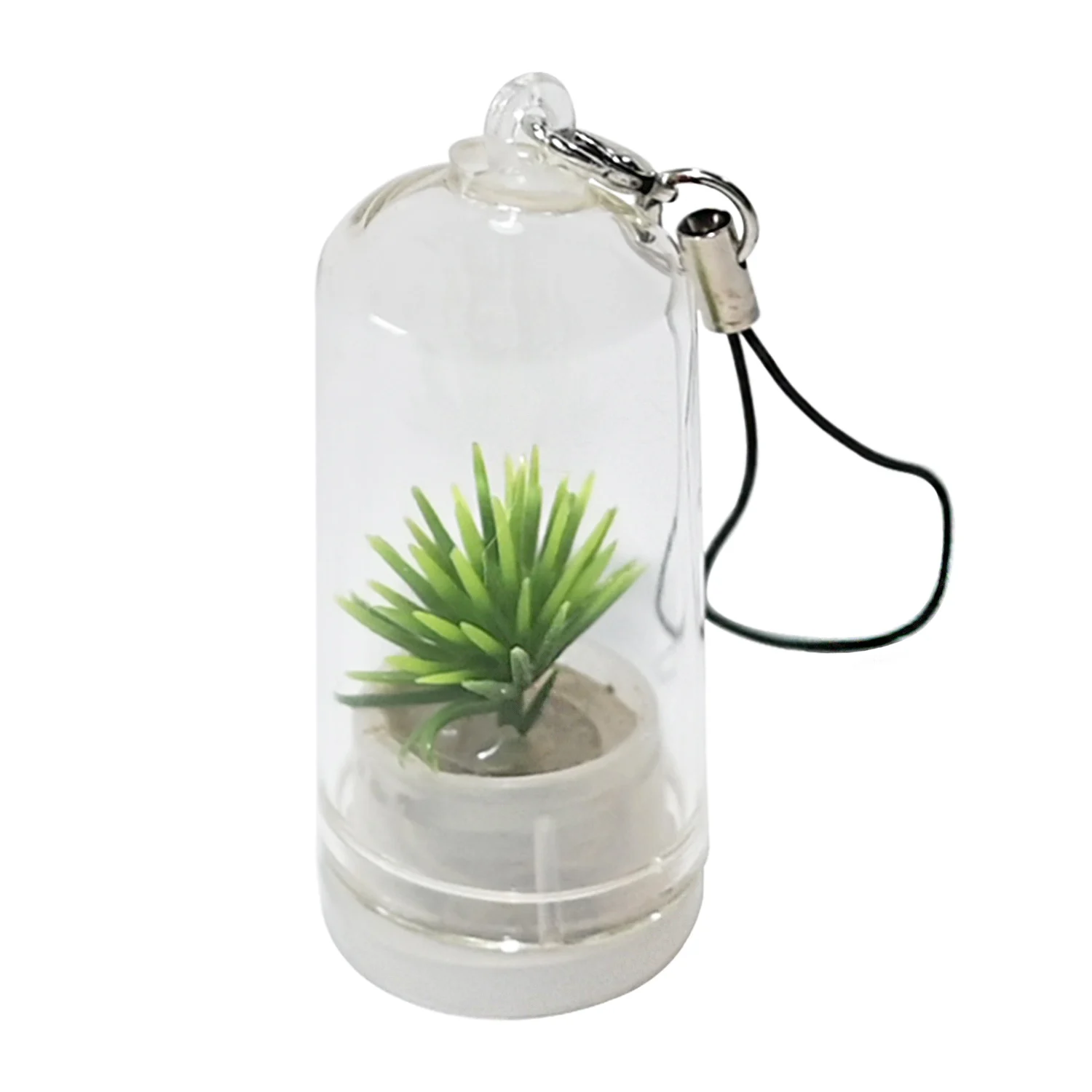 Cactus Live Terrarium Plant Perfect Key Chain Gift