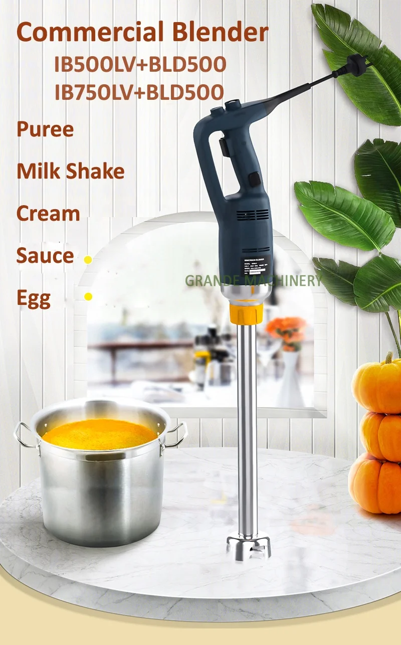 4 in 1 Handheld Immersion Blender Egg Whisk Food Grinder Blending Container  - China Detachable Hand Blender and CE Certified Stick Mixer price