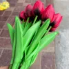 Rosso Nero