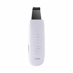 Facial Steamer